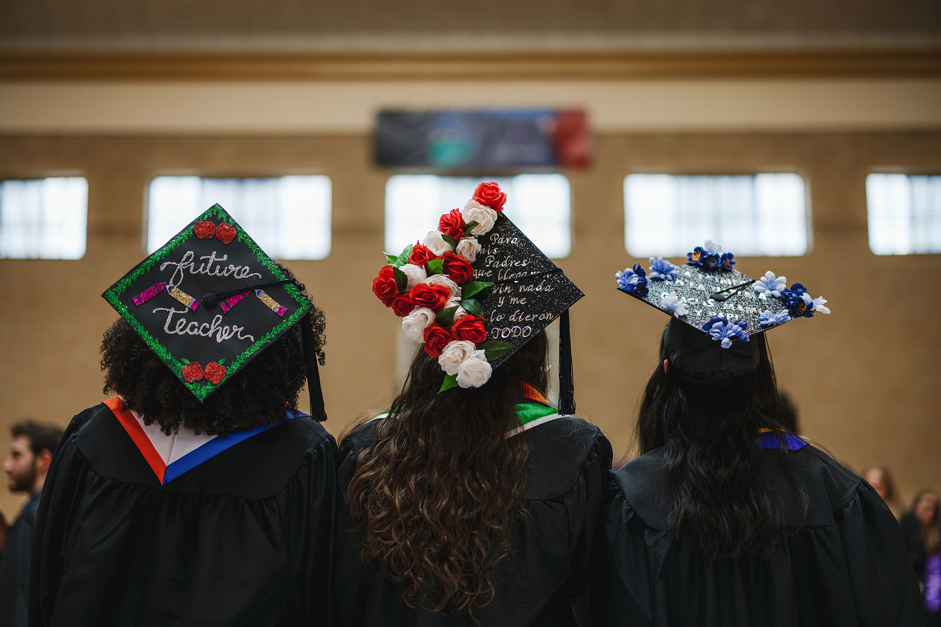 Three decorated graduation caps seen from behind.