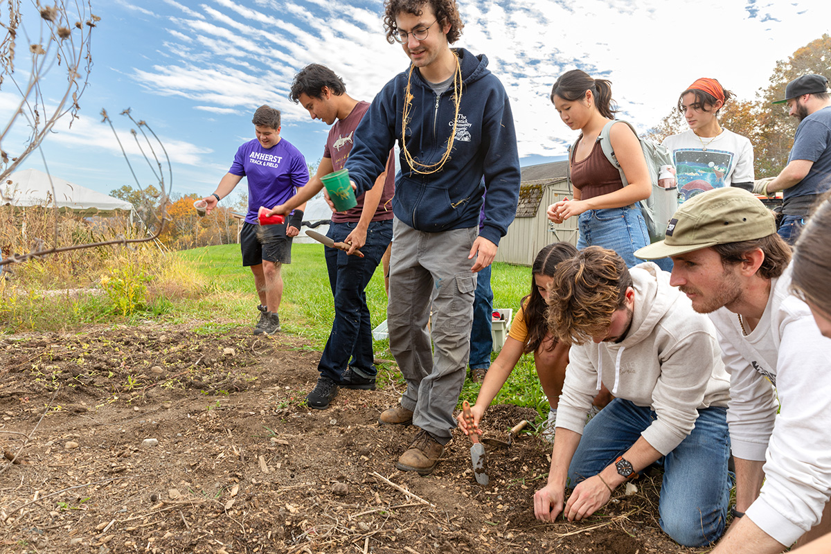 A group of students digging into the ground and planting seeds in a garden