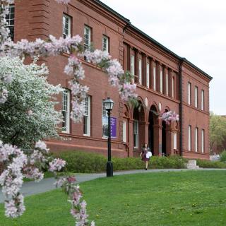 A person walking outside Fayerweather Hall, a two-story brick building. In the foreground are tree branches in blossom.