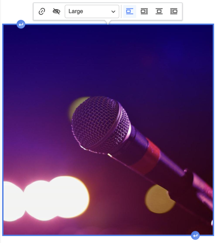 photo of a microphone, with the image toolbar above it, for adding alt text, image size, and alignment