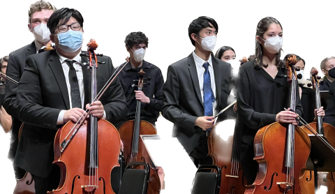 CELLOSECTION